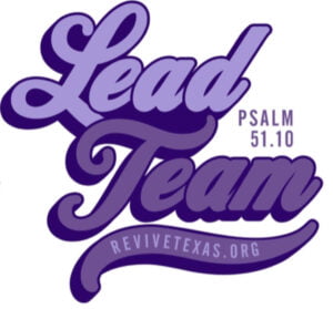 Lead Team Support