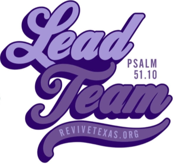 Lead Team Support