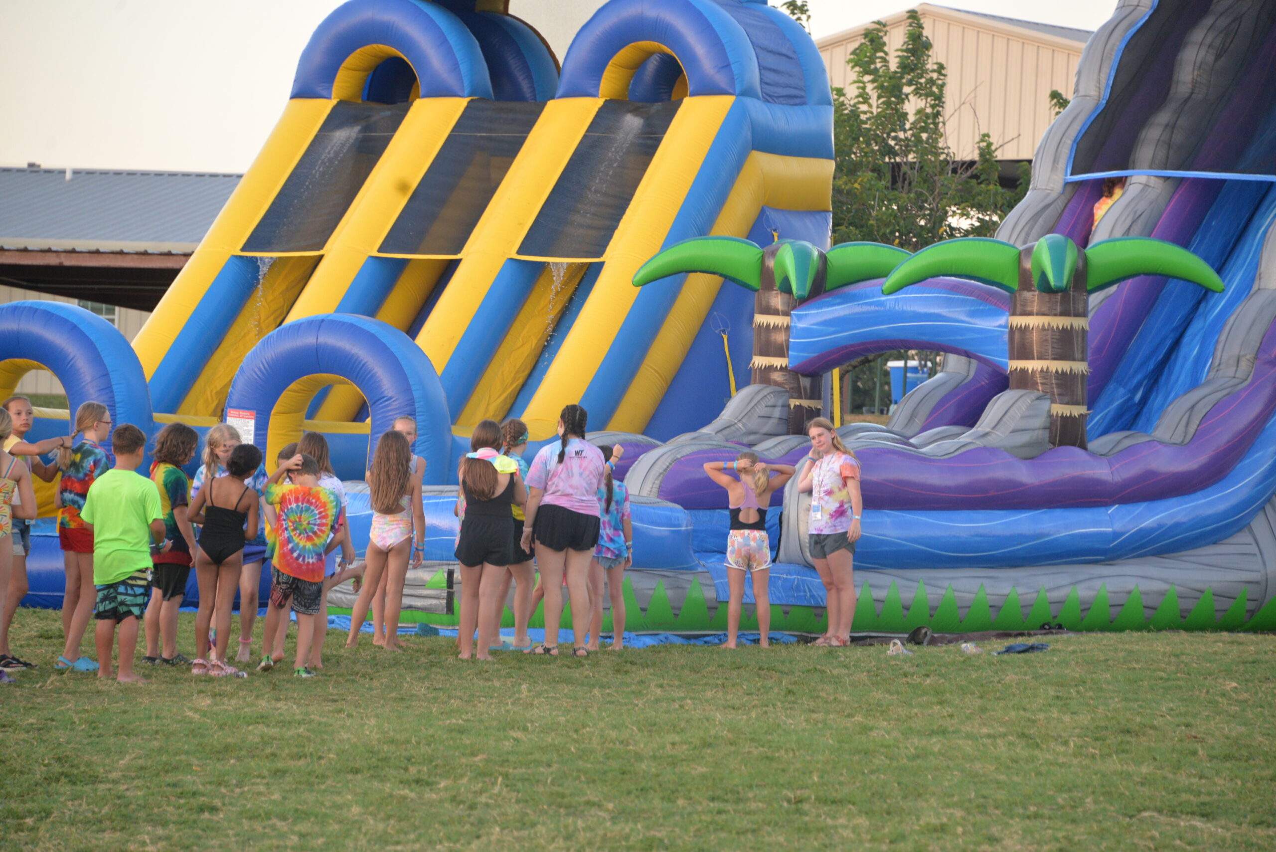 54650748268_ce76e1e8ba_o